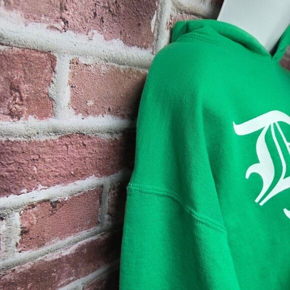 DILLY DILLY St. Patrick’s Day Hoodie Medium Green Irish Pride Gildan Heavy Blend - Picture 3 of 7